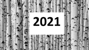 2021 voor berkenbos_0