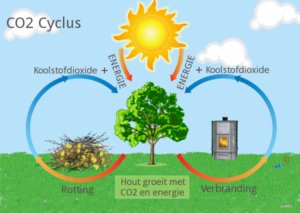 CO2-cyclus